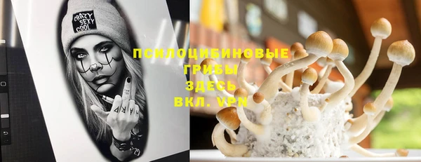 соль ск Медвежьегорск
