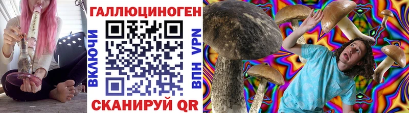 Галлюциногенные грибы Psilocybine cubensis  Кисловодск 