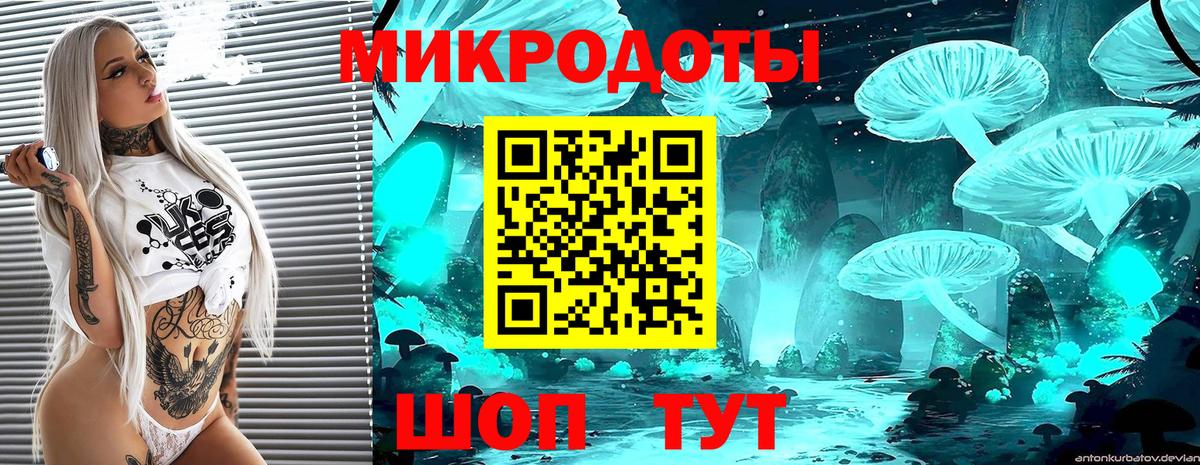 Галлюциногенные грибы мухоморы Кисловодск