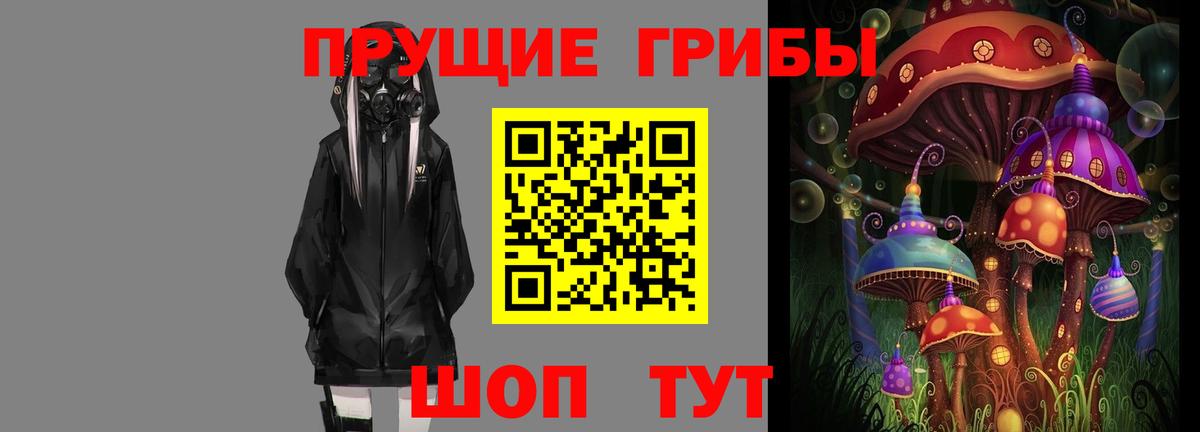 магазин  наркотиков  Вход с VPN  Кисловодск  Псилоцибиновые грибы Cubensis 