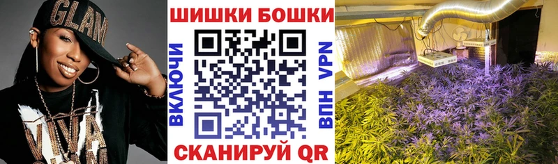 цены наркотик  Кисловодск  Бошки марихуана ГИДРОПОН 